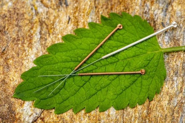 Alternative Medizin mit Homöopathie und Akupunktur Stockbild