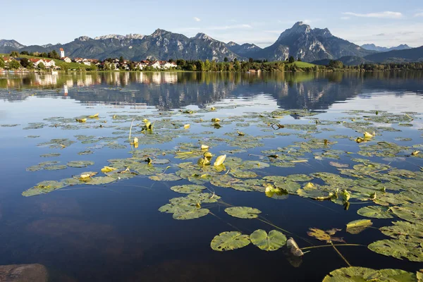 Panoramic Landscape Lake Mountains — Stock Photo, Image