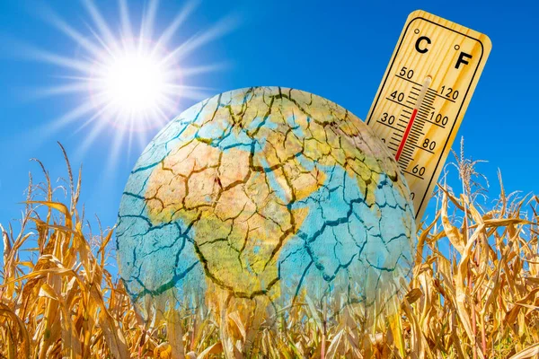 Vysoká Teplota Teplo Sucho Létě — Stock fotografie