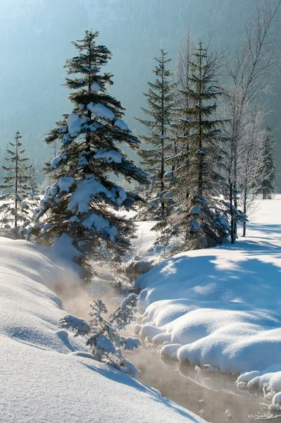 Pequeno Fluxo Dia Inverno Frio Com Neve Profunda — Fotografia de Stock