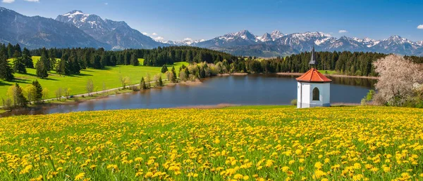 Vista Panorámica Hermoso Paisaje Baviera Alemania — Foto de Stock