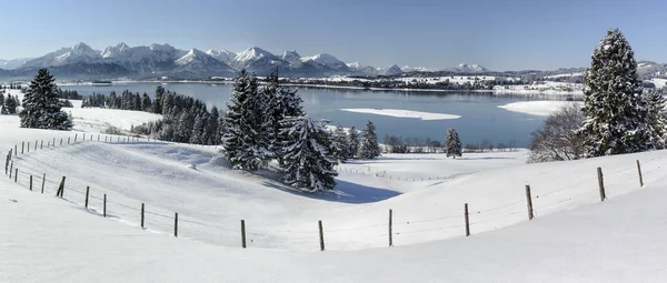 Hermoso Paisaje Panorámico Baviera Invierno —  Fotos de Stock