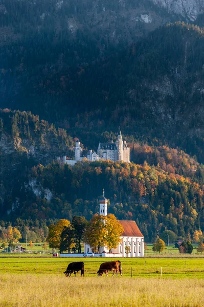 Κάστρο Neuschwanstein Και Προσκύνημα Εκκλησία Του Αγίου Coloman Στη Βαυαρία — Φωτογραφία Αρχείου