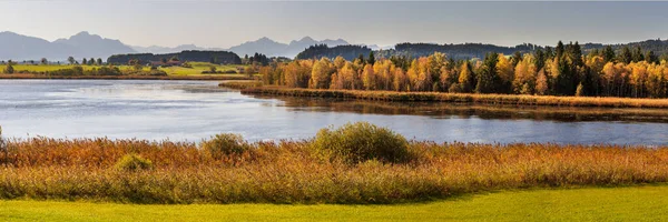 Panoramisch Landschap Allgaeu Beieren — Stockfoto