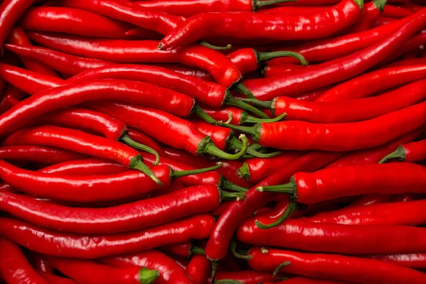 Muchos Pimientos Picantes Rojos Largos Con Pedúnculo Verde — Foto de Stock