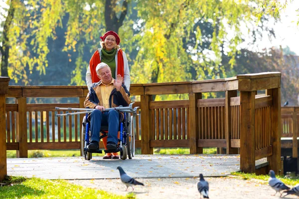 Adam Tekerlekli Sandalye Ile Iyimser Genç Kadınla Parkta Ağaçların Içinde — Stok fotoğraf