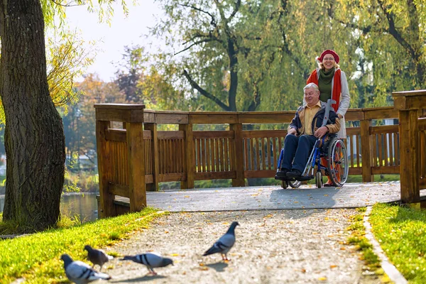Człowiek Wózku Inwalidzkim Optymistyczne Młoda Kobieta Parku Drzewami Tle — Zdjęcie stockowe