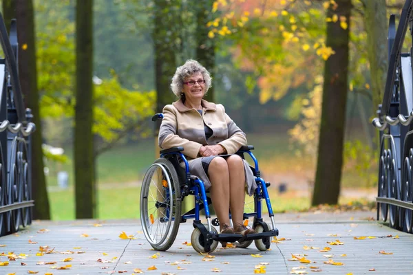 Vieille Femme Souriante Assise Sur Fauteuil Roulant Dans Parc — Photo