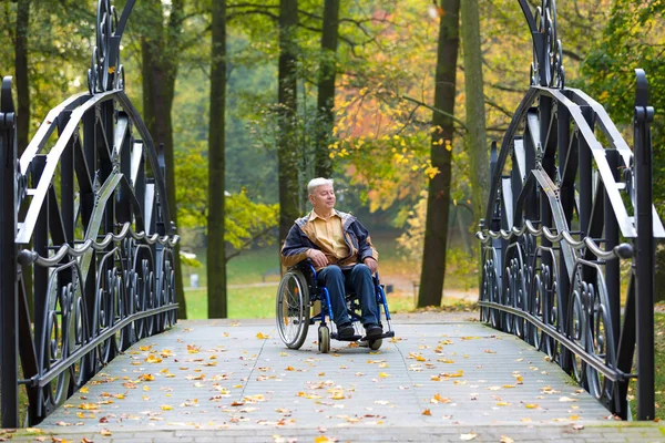 Yaşlı Adam Tekerlekli Sandalyede Renkli Sonbahar Park Açık Sahne — Stok fotoğraf