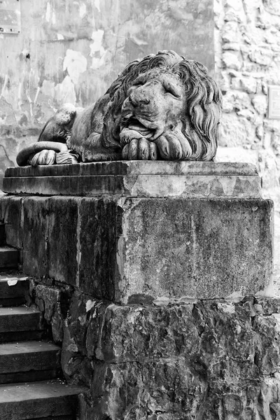 古い石造りの Lviv ウクライナ 黒と白の眠っているライオンの彫刻します — ストック写真