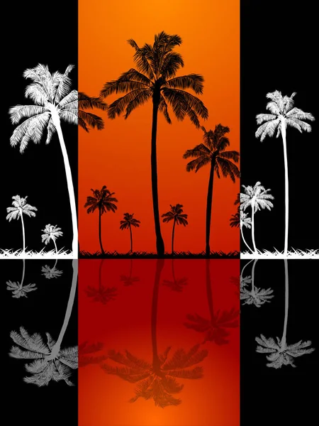 Чорно Білий Пальмами Трава Силует Відображенням Над Чорний Фон Червоним — стоковий вектор
