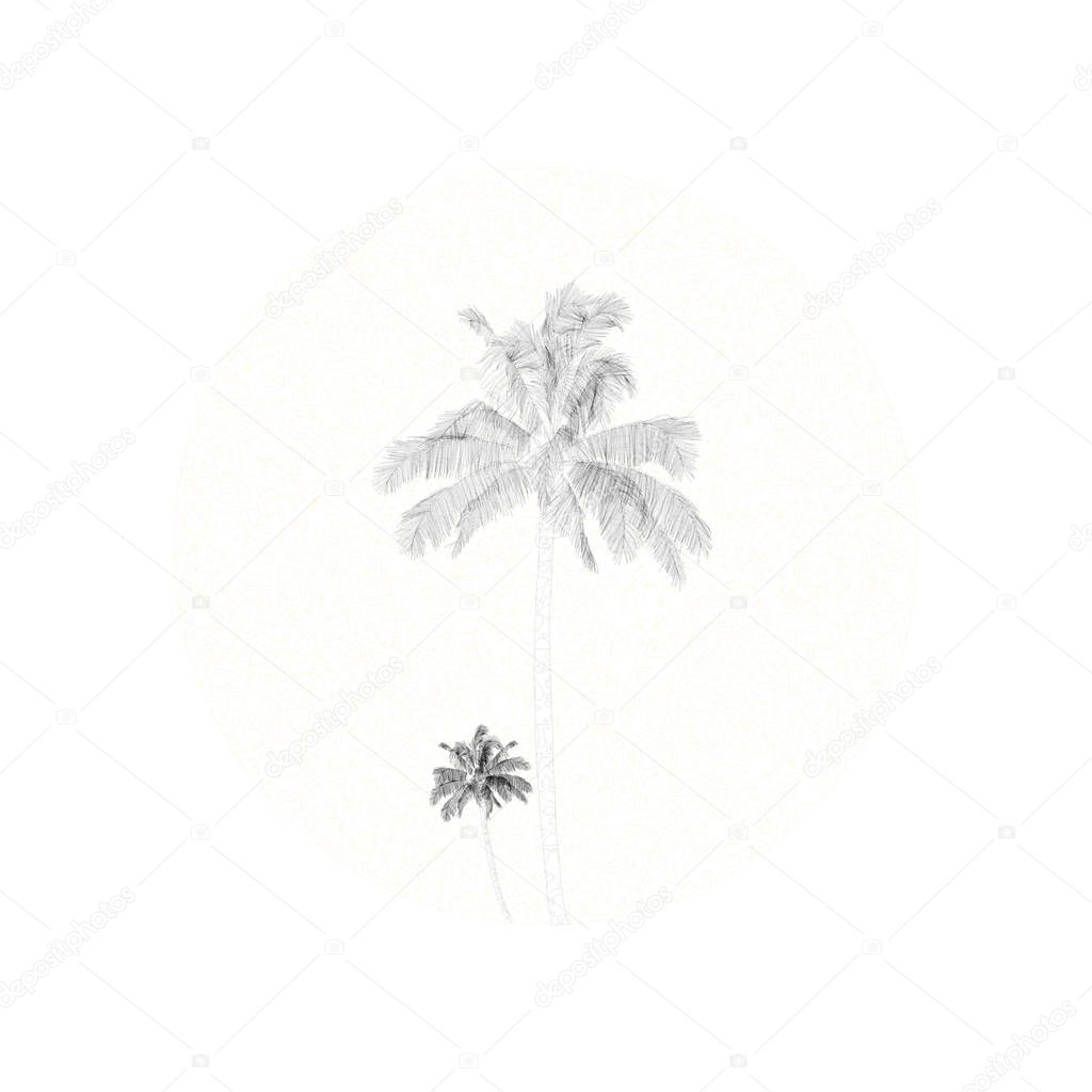 Hand Drawing Style Palm Trees Over Textured Circular Border
