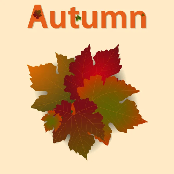 Herfst achtergrond met Leafs en versierde tekst — Stockvector