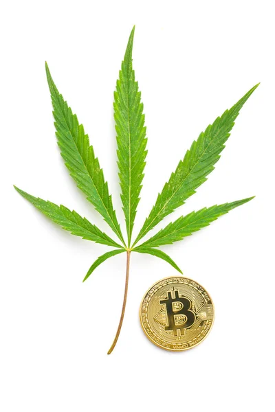Zöld Kannabisz Levél Bitcoin Érme Elszigetelt Fehér Background — Stock Fotó