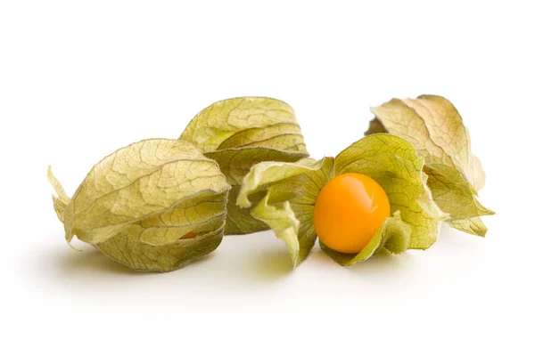 Physalis Peruviana Frucht Isoliert Auf Weißem Hintergrund — Stockfoto