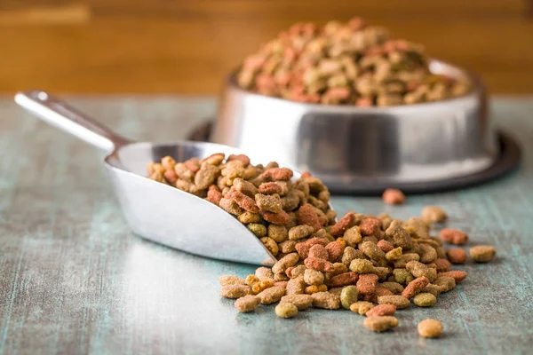 Comida Seca Para Mascotas Comida Seca Kibble Cucharada — Foto de Stock