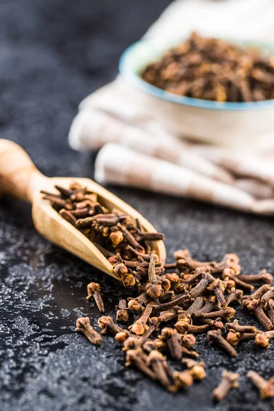 Carnation Dried Clove Spice Scoop — Stock Photo, Image