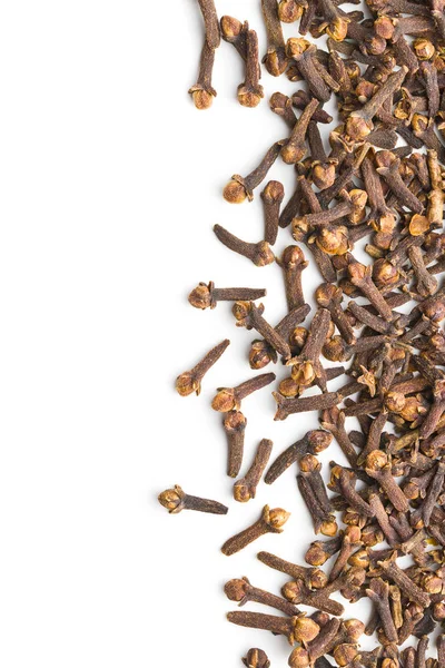 Carnation Dried Clove Spice Isolated White Background — Stock Photo, Image