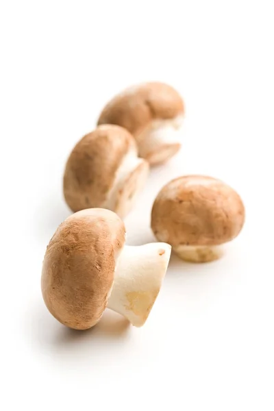 Νωπά μανιτάρια champignon. — Φωτογραφία Αρχείου
