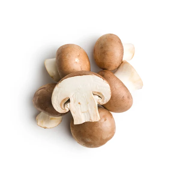 Νωπά μανιτάρια champignon. — Φωτογραφία Αρχείου