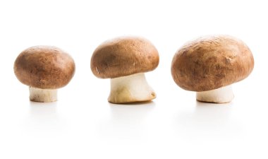 Fresh champignon mushrooms. clipart