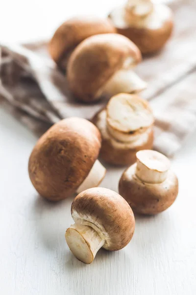 Cogumelos de champignon frescos. — Fotografia de Stock