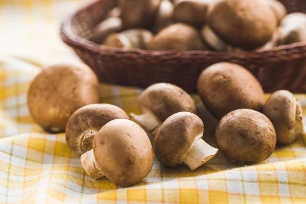 Świeże grzyby champignon. — Zdjęcie stockowe