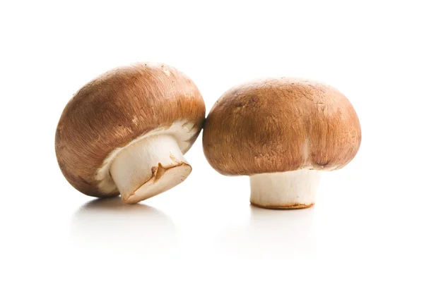 Cogumelos de champignon frescos. — Fotografia de Stock