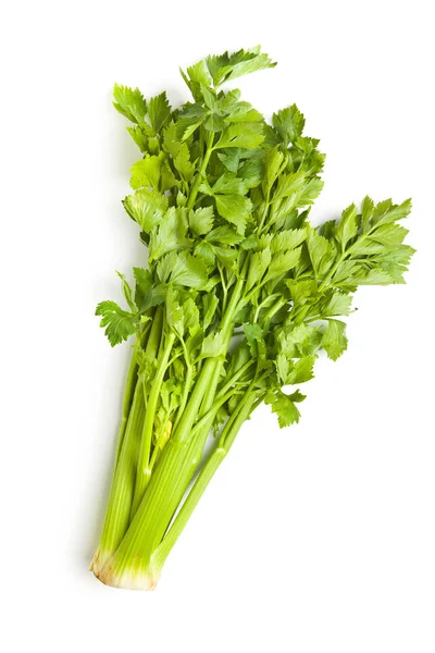 Bunch of fresh celery stalk. — Stock Photo, Image