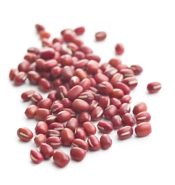 Červené fazole adzuki fazole. — Stock fotografie