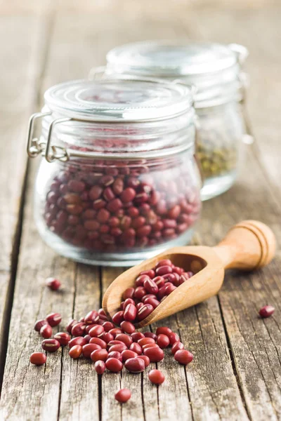 Fagioli adzuki rossi . — Foto Stock