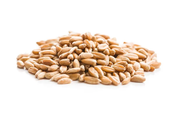 Healthy spelt grains. — Stock Photo, Image