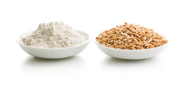 Whole grain wheat flour and wheat grains. — Stock Photo, Image