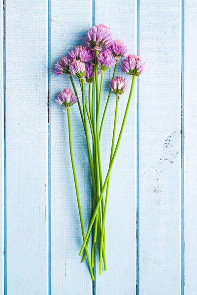 Szczypiorek z kwiatami — Zdjęcie stockowe