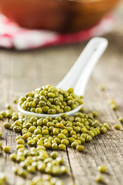 Zelené fazole Mungo. — Stock fotografie