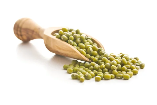 Green mung beans. — Stock Photo, Image