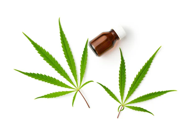 Marihuana-cannabis verlaat — Stockfoto