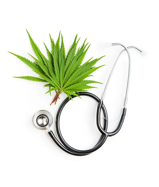 Marijuana cannabis leaves — Stock Photo, Image