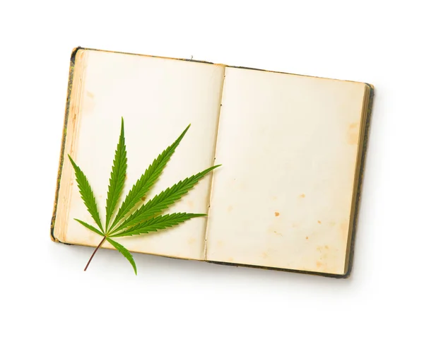 CBD slovník