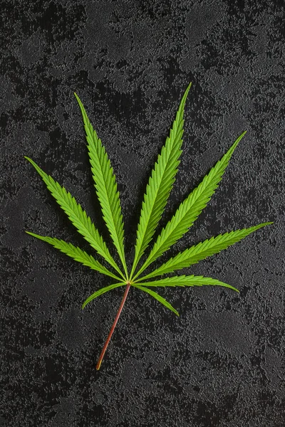 Feuille de cannabis Marijuana . — Photo