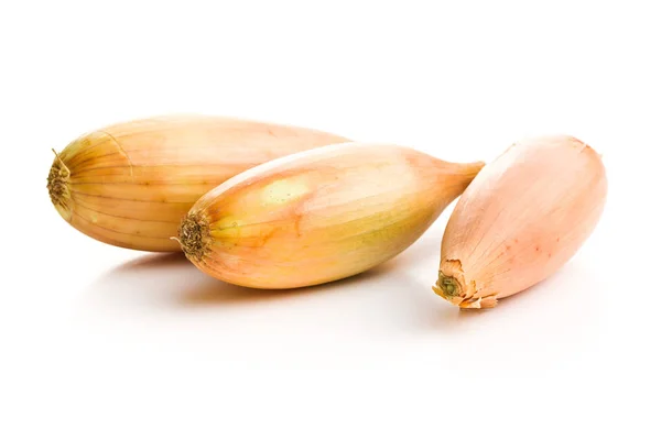The golden shallot onion. Fresh bulbs. — Stock Photo, Image