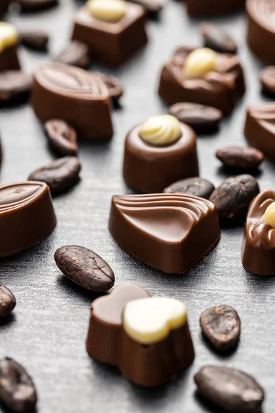 Various chocolate pralines — Stockfoto