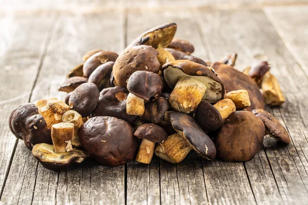 A lot of boletus mushrooms. — Stock Photo, Image