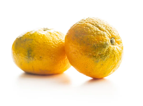 新鲜的黄色橘子. — 图库照片