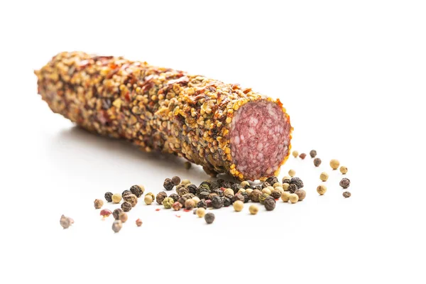 Pittige salami worst. — Stockfoto