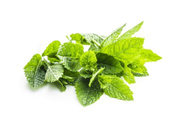 Green mint leaves isolated on white background. clipart
