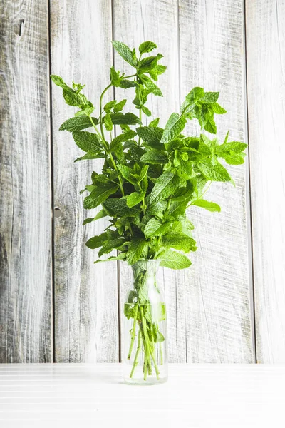 Takken Groene Munt Een Vaas Witte Tafel — Stockfoto