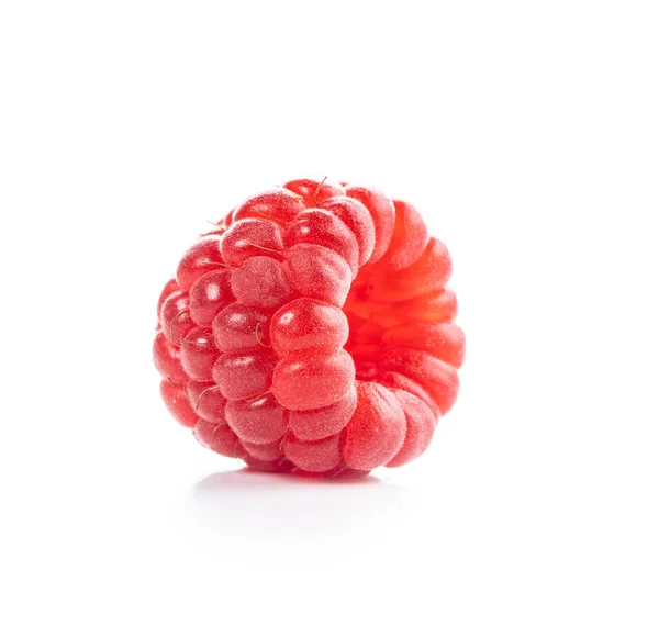 白色背景下的成熟红覆盆子 — 图库照片