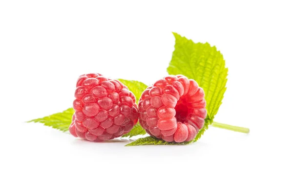 Ripe Red Raspberries Isolated White Background — Stock Photo, Image