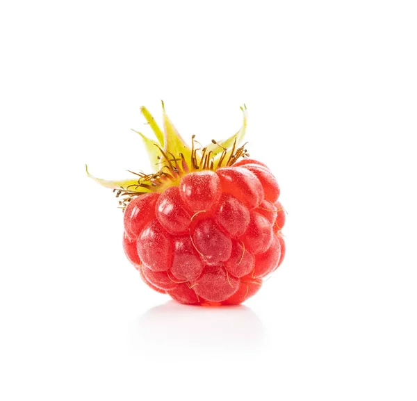 白色背景下的成熟红覆盆子 — 图库照片